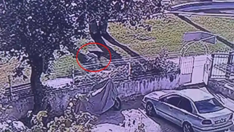 Kan Lekeleri Arasında Korkunç Gerçekği: Ali Haydar Özyıldırım'ın Son Yürüyüşü