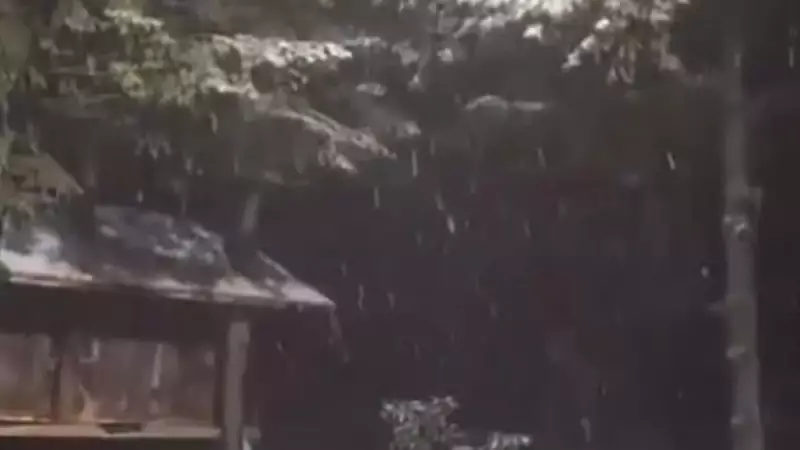 Kartepe'de Mevsimin İlk Karı Düştü: İstanbul'a 1,5 Saat Mesafe