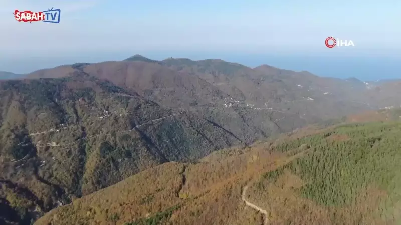 Kastamonu'da Kayıp Anne ve Oğlunun Acı Kaderi: Kuzgunlar Cesedi Buldurdu