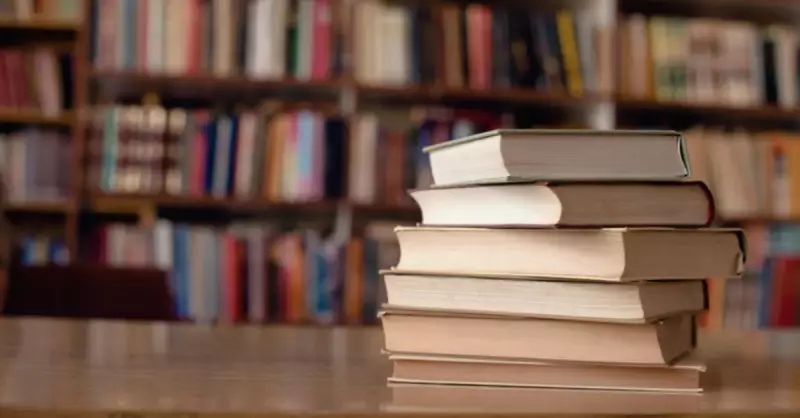 Kirpi Sonic ve Arkadaşlarının İsimleri, Güçleri ve Özellikleri