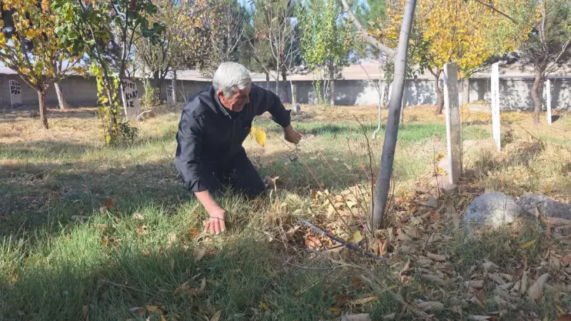 Konya'da Cennet Kuşları Kabristanı'nın 30 Yıllık Bekçisi Hasan Amca