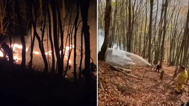 Kovancılı'da Fındık Bahçesinde Çıkan Yangın Kontrol Altına Alındı