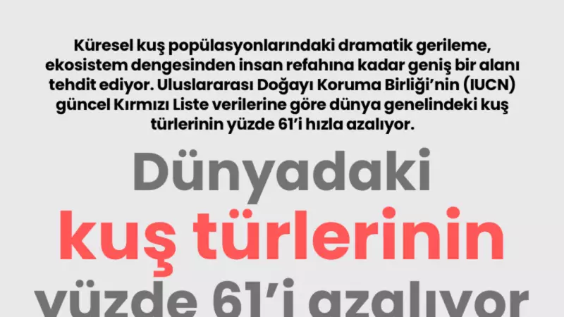 Kuş Türlerinin %61'i Azalıyor: Ekosistem Alarm Veriyor