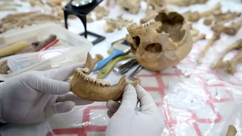 Malazgirt'te 72 İskelet Bulundu: 11. Yüzyıla Ait Sırlar Araştırılıyor