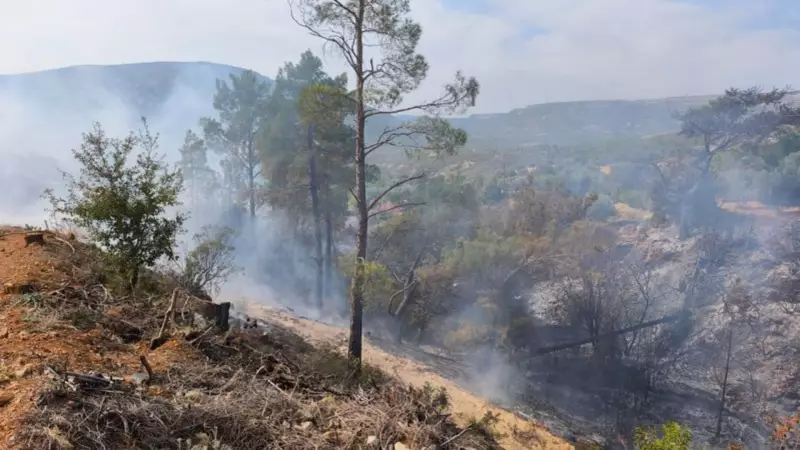 Mersin'de Bahçesinde Bulunan Yaşlı Adamın Hazin Sonu: Traktör Altında Can Verdi