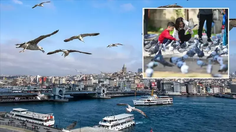 Meteoroloji Açıkladı: Türkiye Genelinde Yağış Yok, Sıcaklıklar Artıyor