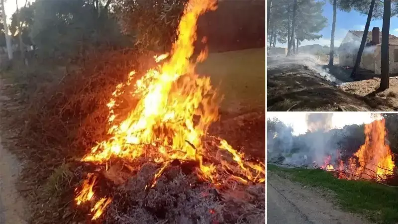Milas'ta İki Ayrı Orman Yangını Hızlı Müdahaleyle Söndürüldü