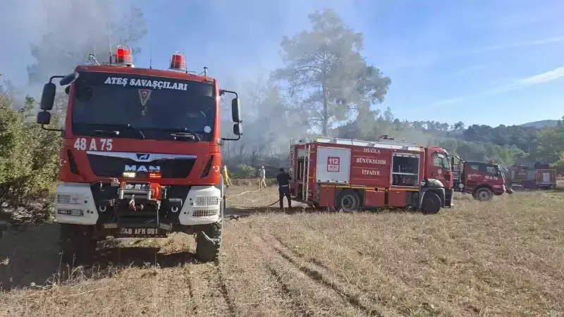 Muğla'da İki Ayrı Arazide Çıkan Yangın Kontrol Altına Alındı