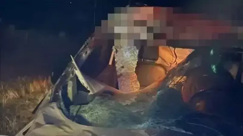 Muş'ta Kızılağaç Yolunda Ata Çarpan Araç: 2 Yaralı