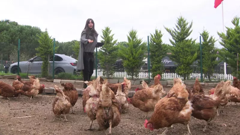 Neslihan Atagül'den Özel Açıklamalar: Oğlu Aziz'in İsim Hikayesi