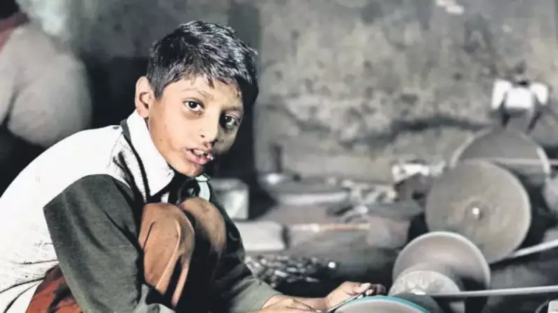 Çocuk İşçiliğine Sıfır Tolerans: 2028'e Kadar Tamamen Bitirilecek
