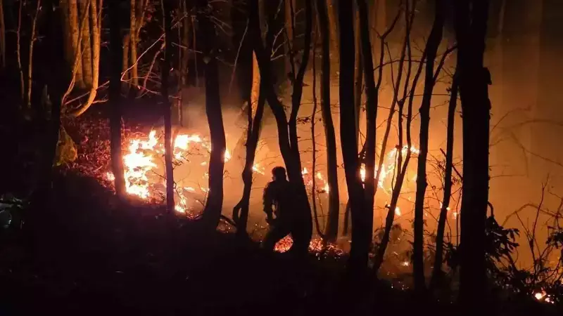 Ordu'da Fındık Bahçesinde Çıkan Yangın 50 Dönüme Yayıldı