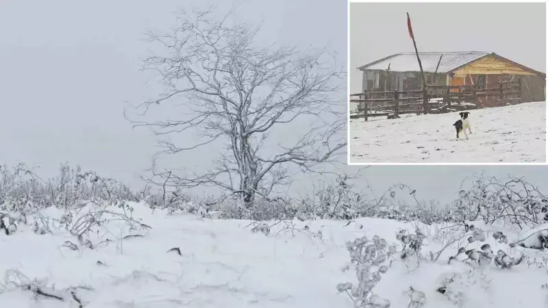 Ordu'da Yüksek Kesimler Beyaza Büründü: Kar Güzelliği Başladı