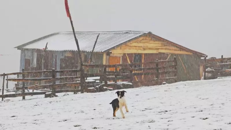 Ordu'nun Yaylaları Kışa Merhaba Dedi: 5 Santimetre Kar