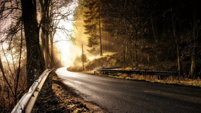 Oregon - Houston Arası 3600 km: Yolculuk Rehberi ve Gezilecek Yerler