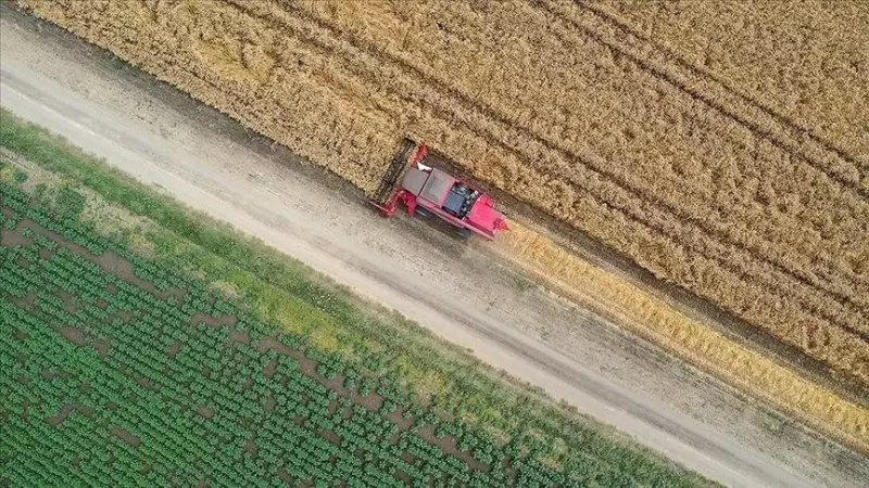 Üreticilere Can Suyu: 116 Milyar Liralık Tazminat Hesaplara Aktarıldı!