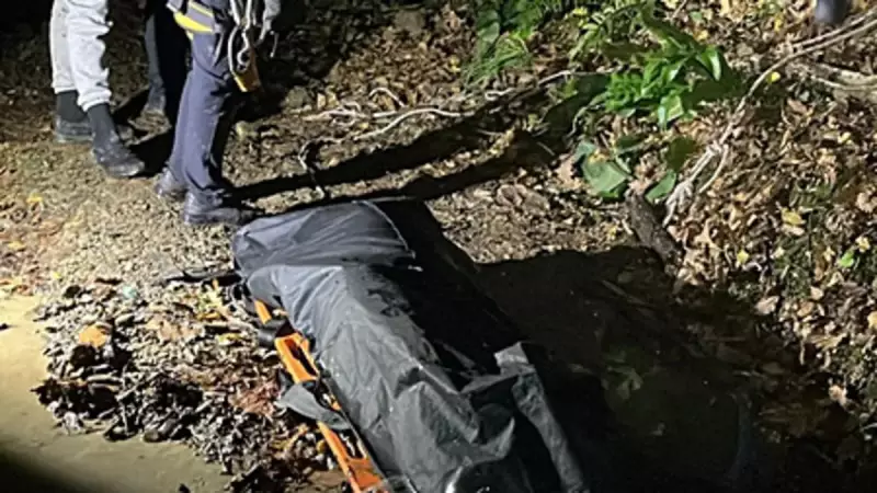 Sakarya'da Ormanlık Alanda Cansız Beden Bulundu: Tüfek ve Kan İzleri