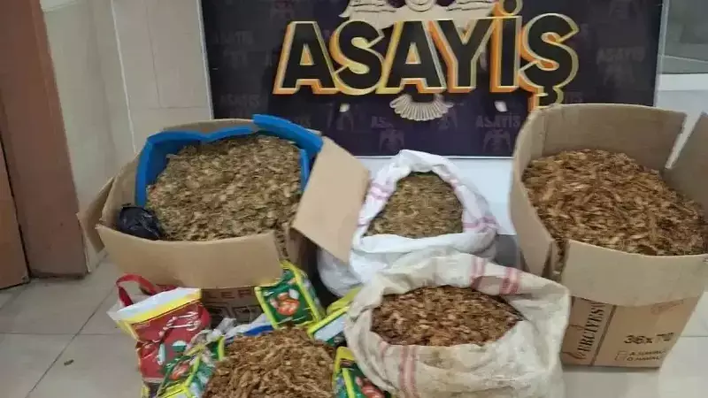 Samandağ'da Kaçak Tütün Operasyonu: 2 Gözaltı