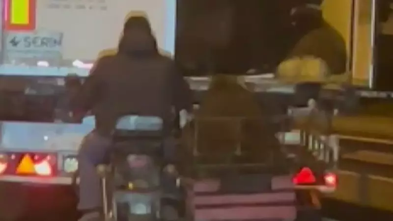 Seyir Halindeki TIR'dan Akıl Almaz Hırsızlık: Koyunlar Uçtu Gitti!