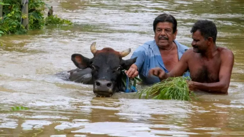 Sri Lanka'da Sel Felaketi: 123 Can Kaybı, 44 Bin Kişi Evsiz