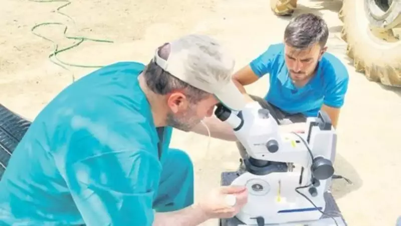 Süt Alerjisi Tarihe Karışıyor! Bilim İnsanları Genetik Kökene Çare Buldu