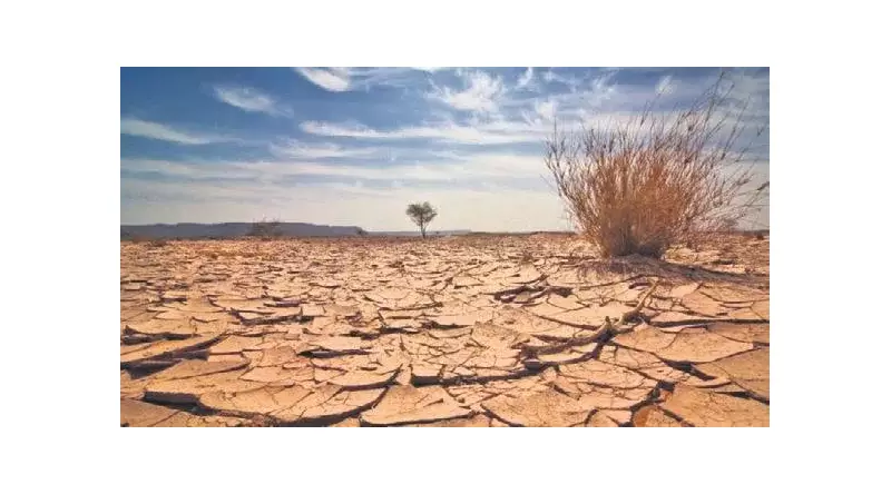 Su Krizi Derinleşiyor: 240 Gölden 186'sı Kurudu, Acil Önlem Şart