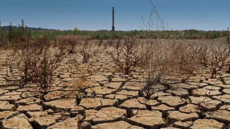 Tahran'da Su Krizi: İran Başkentini Tahliye Tehdidi ve Türkiye'deki Alarm Veren Baraj Doluluk Oranları
