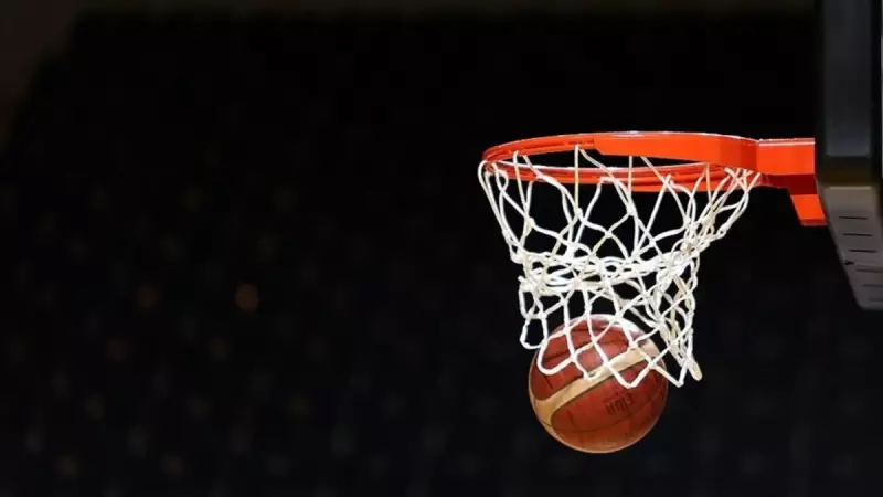 TBF 'Her Basket Bir Fidan' ile 1 Milyon Fidan Dikiyor