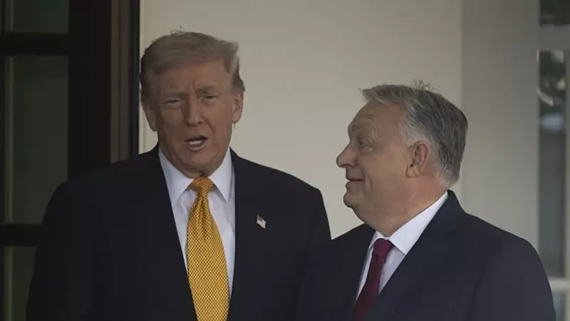 Trump ve Orban Beyaz Saray'da Görüştü: İkili Görüşmenin Detayları