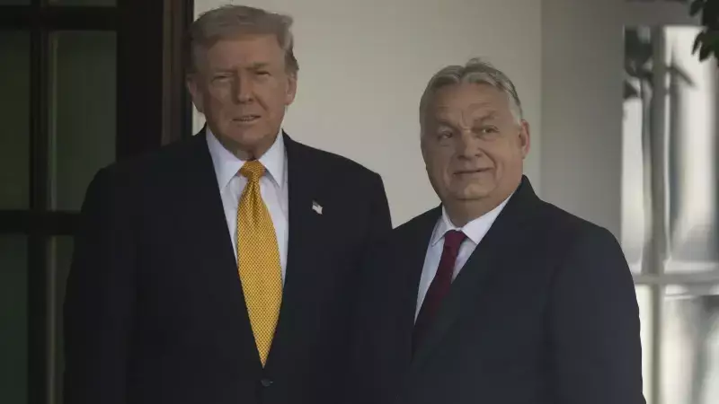 Trump'tan Putin Zirvesi Açıklaması: Budapeşte İhtimali