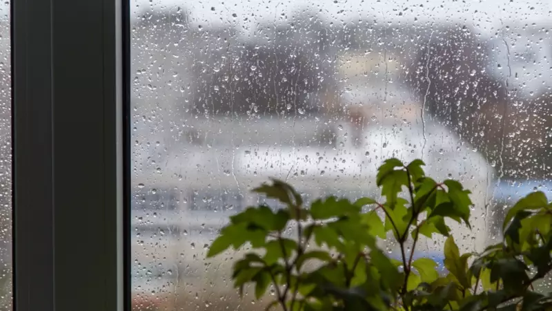 Yağmur Sesinin Sakinleştirici Gücü: Bilim Açıklıyor
