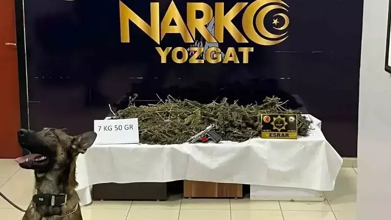 Yozgat'ta 7 Kilo Esrar Ele Geçirildi: 2 Gözaltı