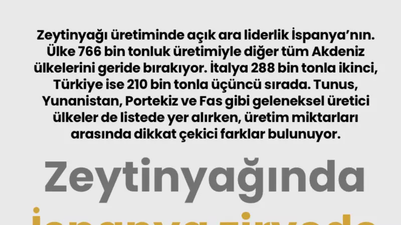 Zeytinyağı Üretiminde İspanya Lider, Türkiye İlk Üçte