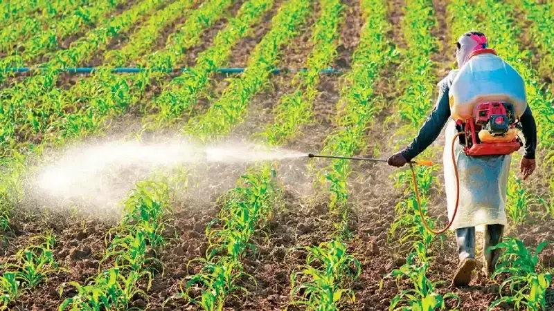 Zirai İlaçlar Artık Reçete İle Satılacak: Bakan Yumaklı Açıkladı
