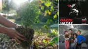 Gazze Umut Ormanı Projesi Finali 16 Kasım'da İstanbul'da