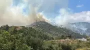 Hatay'da Orman Yangını: Ekipler Müdahale Başlattı