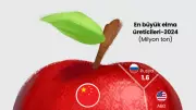 Küresel Elma Üretiminde Çin Liderliği Sürüyor: Türkiye'nin Payı