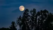 Kunduz Dolunayı Geliyor: Son 6 Yılın En Büyük 'Süper Ay'ı ile Gökyüzünde Nefes Kesen Bir Gösteri!