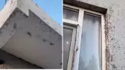 İnanılmaz Görüntü: Bir Evin Dış Cephesini Sinekler Bastı! İşte O Akıl Almaz Anlar