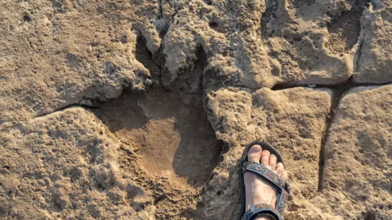 101 Milyon Yıllık Sır: Bolivya'da 16.600 Dinozor İzi Bulundu