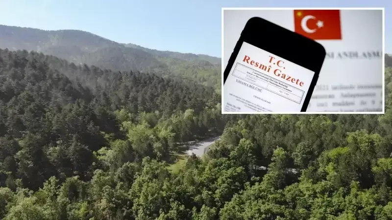 11 İlde Orman Sınırları Değişti: Yeni Tahsisler ve Doğal Sit Alanında Revizyon