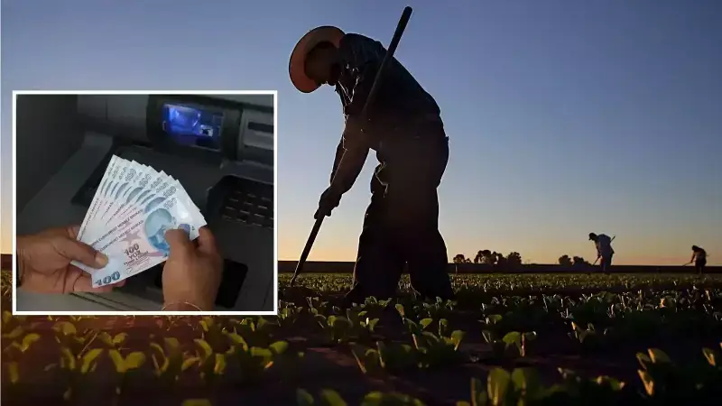 1,1 Milyar Lira Tarımsal Destek Çiftçilerin Hesaplarında