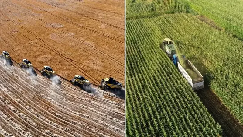 1,7 Milyar TL Tarımsal Destek Bugün Çiftçi Hesaplarında