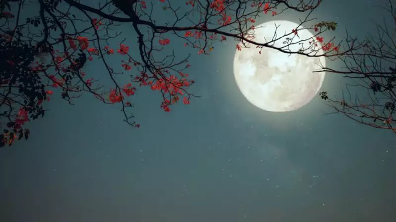 2025 Son Dolunayı Burçları Nasıl Etkileyecek? İşte En Çok Etkilenecekler