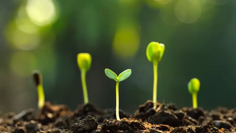 56 Milyon Yıl Önceki İklim Felaketi Tekrarlanabilir: Bitkiler Alarm Veriyor