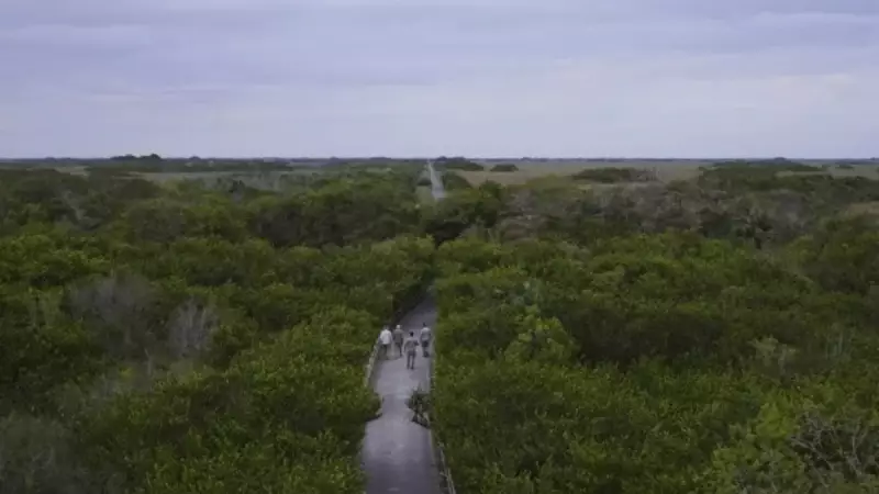 ABD'de şok eden cinayet: 14 yaşındaki kız kurşuna dizilip yakıldı