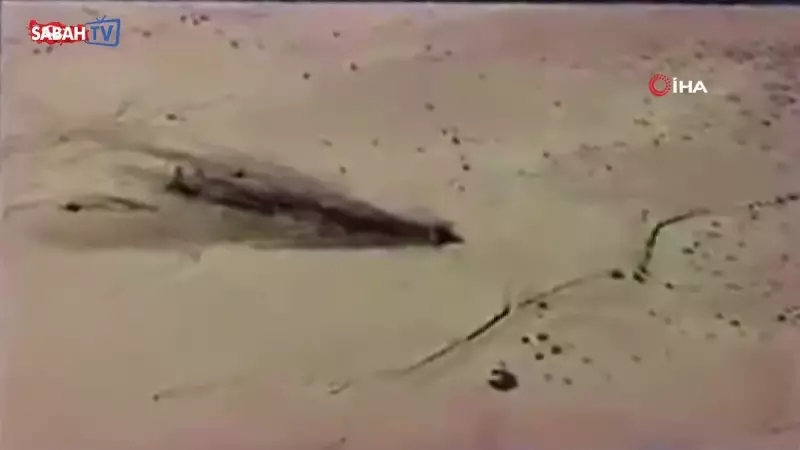 ABD'de Thunderbird F-16C'si Mojave Çölü'ne Düştü, Pilot Kurtuldu