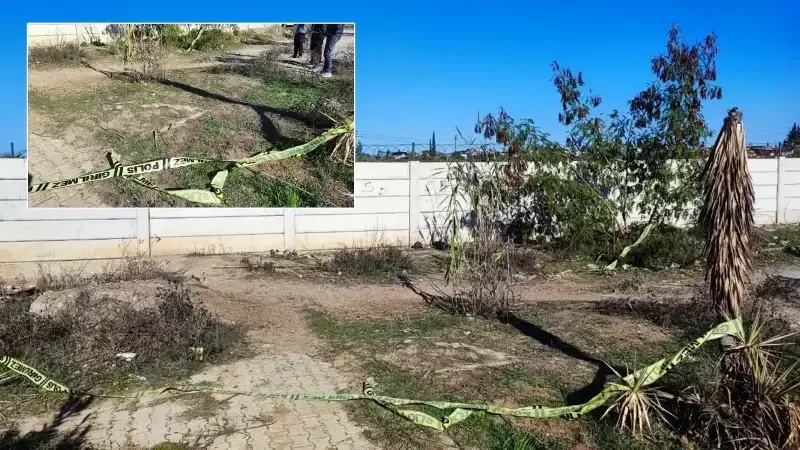 Adana'da 63 Yaşındaki Kadın Portakal Toplamaya Giderken Hayatını Kaybetti