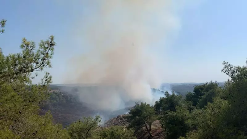 Adana'da Orman Kundakçısına 10 Yıl Hapis Talebi: 250 Metrekare Alan Zarar Gördü