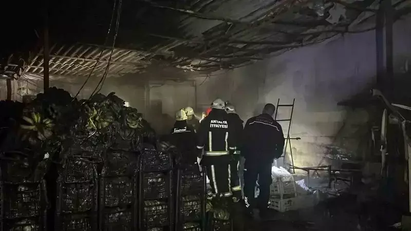 Alanya'da Muz Sarartma Tesisinde Çıkan Yangın İki Tesise Zarar Verdi